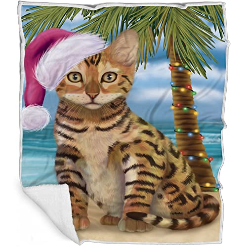 Doggie of the Day Chinese Li Hua Cat Blanket - Christmas Summertime Beach - Super Soft & Warm Pet Theme for Sofa or Bed, Warm Fleece, Sherpa or Woven Material, BLNKT87581 (30x40 Fleece)