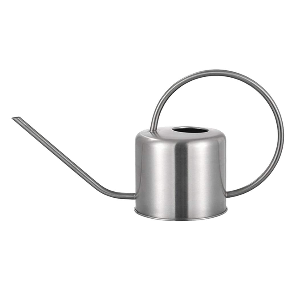 Pastoral Indoor Plant Watering Can Long Spout Sprinkler Silver