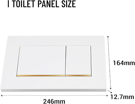デュアルフラッシュ壁掛けトイレ水タンクパネル、豪華なデザインのフラッシュプレート、Geberit Sigma 30-115.883.KK.1と互換性があります。取り付け簡単なトイレパーツ、プラスチックホワイトG