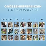 Voyager Step-In Air Hundegeschirr by Best Pet Supplies - All Weather Mesh Step in Vest Harness für kleine und mittlere Hunde, Königsblau, size L - Brust 45-52 cm