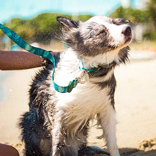 Guia Para Cachorros dog27 Tropical Tamanho:G