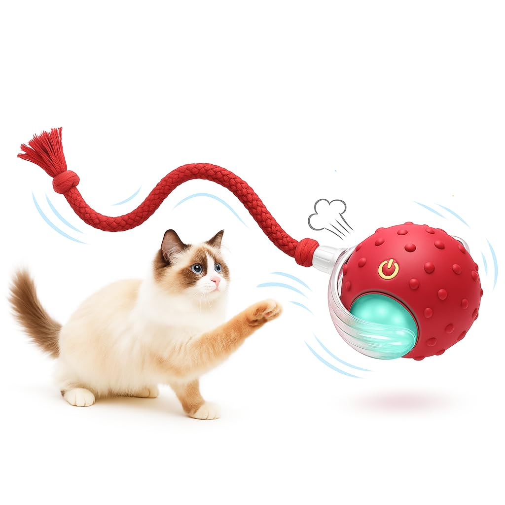 Balle interactive pour chat d'intérieur : finis les jouets bloqués sur la moquette