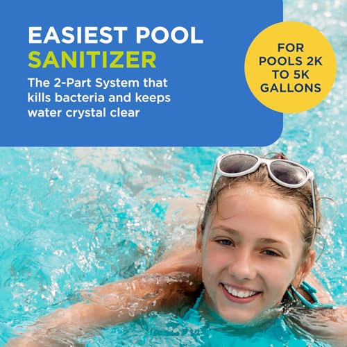Image of Flippin' FROG Replacement Chlorine Cartridges, 4 Pack