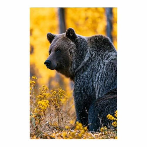 Ours des forêts d'automne décoration moderne multicolore 60x90cm