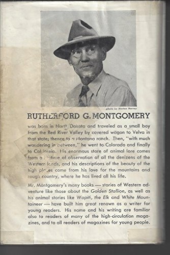 The golden stallion and the mysterious feud, B0006BQN5Y Book Cover