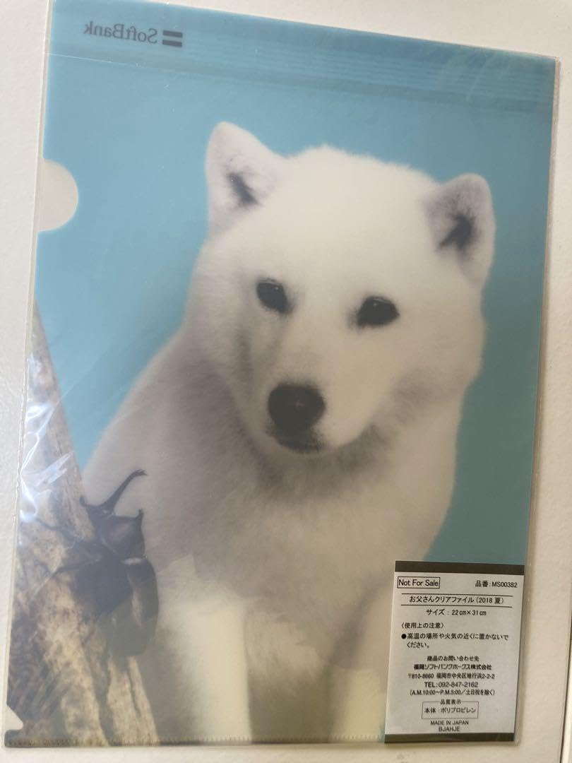 Amazon.co.jp: ソフトバンク お父さん犬 クリアファイル 文房具 北海道
