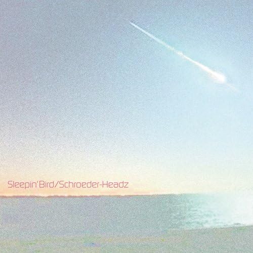 Schroeder-Headz Sleepin' Bird
