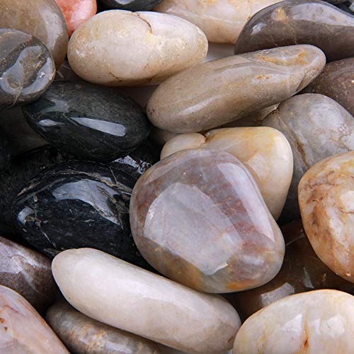 Skullis 5 Pounds River Rocks, Pebbles, 1-2 Inches Garden Outdoor Decorative Stones thumb #4