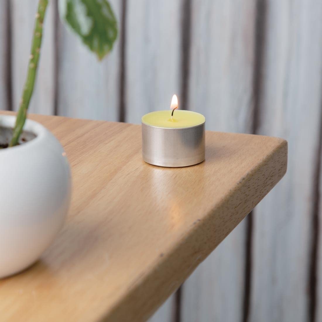 Eazyzap Citronella Teelichter (75 Stück)