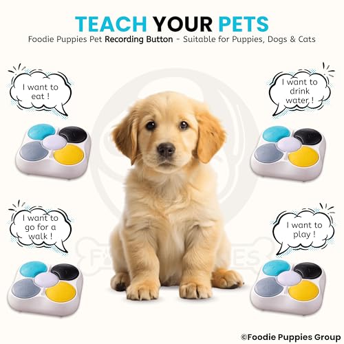 Image of Foodie Puppies Interactive Dog Talking Buttons for Training, 4-in-1 Recordable Voice Buttons, 30Sec Playback | Pet Communication Buzzer for Dogs & Cats | USB Type-C & Battery Powered [Without Battery]
