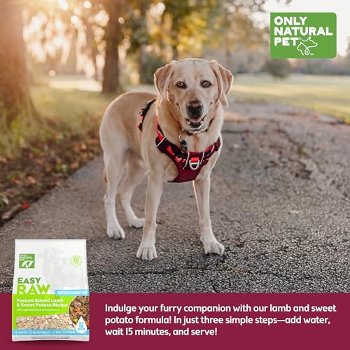 Solely Pure Pet – EasyRaw Dehydrated Uncooked Canine Meals Components, Comprises Actual Healthful Vitamin, Low Glycemic, Paleo Pleasant, Non-GMO – Lamb & Candy Potato Taste – 2 lb Bag (Makes 10 lbs) Solely Pure Pet – EasyRaw Dehydrated Uncooked Canine Meals Components, Comprises Actual Healthful Vitamin, Low Glycemic, Paleo Pleasant, Non-GMO – Lamb & Candy Potato Taste – 2 lb Bag (Makes 10 lbs)