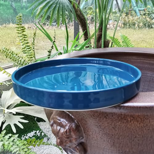 Soucoupe en céramique bleu 30,5 cm pour éviter les fuites d'eau de vos pots - 6