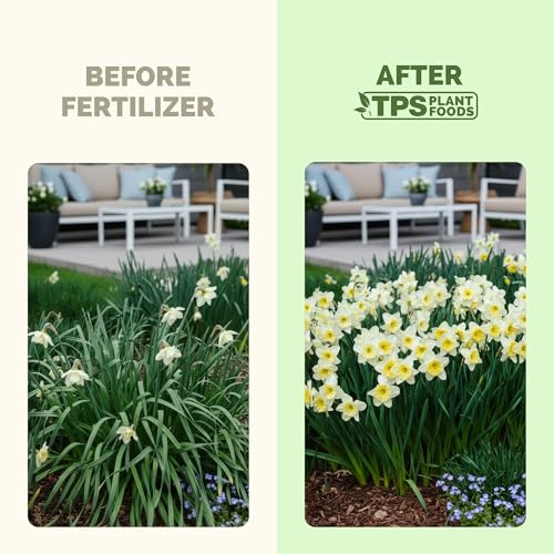 Fertilizante Líquido para Plantas Daffodil 8 oz miniatura 3