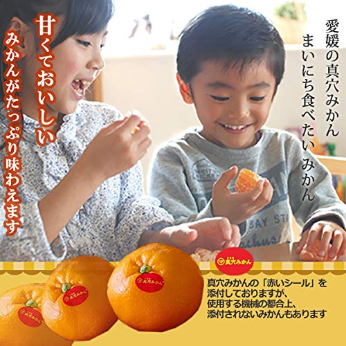 Amazon.co.jp: マルシェ愛媛: 真穴みかん