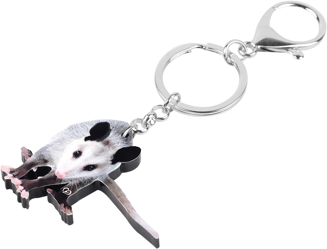 WEVENI Cute Acrylic Possum Keychain Opossum Keyring Funny Rat Charms Jewelry for Women Girls Car Bag Wallet Accessories (Possum H) - Image 3