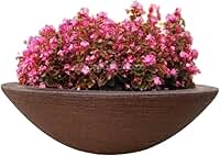 Vaso Polietileno Bacia Para Plantas Flores Jardim Luxo 50cm (MARROM)