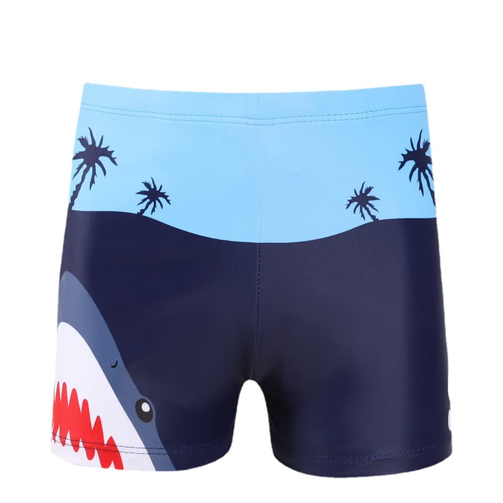 Lazz1onBañador Niño Playa Ropa de Baño para Niño Secado rápido Interior de Malla Shorts de Natación 3-8 Años
