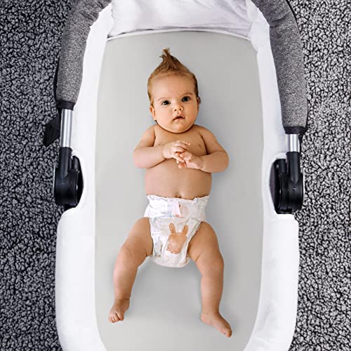 https://m.media-amazon.com/images/I/51aFfbWNp4L._SL500_.jpg
