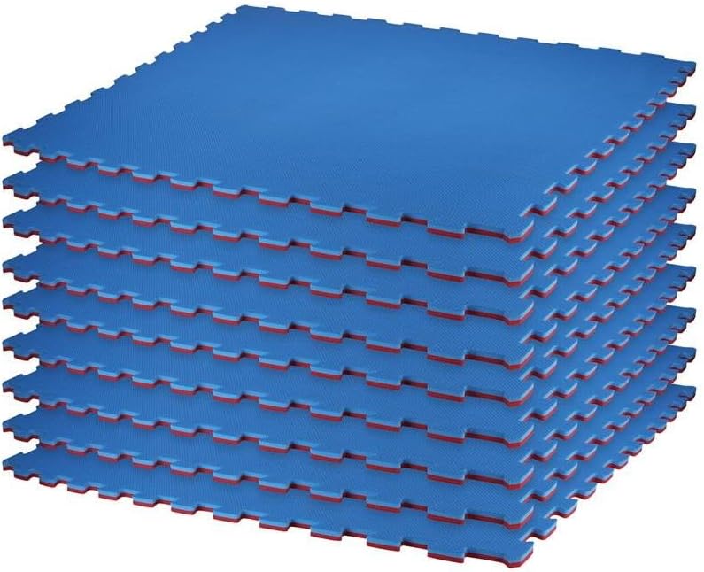 Century Commercial Grade 9 Pack Gym Floor Mats | Reversible Interlocking Foam Floor Tiles | Puzzle Mat Gym Flooring | Foam Rubber Cushioned Padding Mat for Home, Exercise, Wrestling | Blue & Cardinal