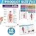chiazllta 16 Pack Anatomy & Physiology Study Guides Set Human Body Systems Anatomy Study Tools Educational Charts Nursing School Success Bundle for Paramedic Medical School Students