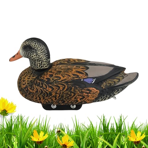 Aq̃fRC - t[eBO   Aq ͌^  i,V~[V}KfRC,OAAApeBIArAv[Ap