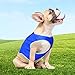 Dog Cooling Vest Harness size2