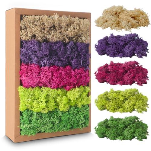Islandmoos, Moos in 5 versch 200g für Moosbilder, Konserviertes Moos, Moos zum Basteln, Moos Deko, Künstliches Moos, Moos Konserviert, Deko Moos, Bastelmoos, Kunstmoos für Basteln (A)