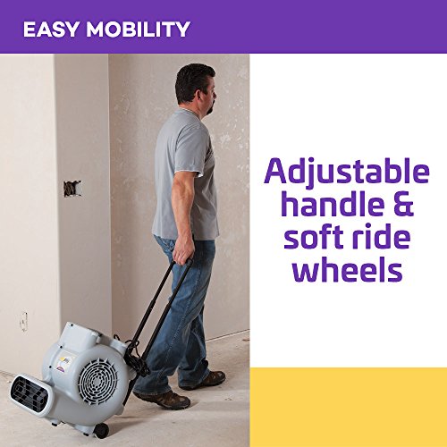 ProTeam ProBlitz XP Air Mover, view 3