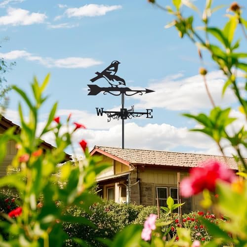 image for VESTCDF Hummingbird Weathervane Metal Wind Vane Weather Vane Wind Dire