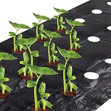 Agfabric Weed Barrier Landscape Fabric 4x6ft with Planting Holes, Hole Diameter 4", Hole Spacing 8", Row Spacing8 on Center