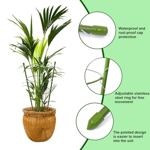 Plant Support Cages, 4 Pack 18" Metal Ring Garden Plant Stake for Green Plant, Tomato, Rose, Vine by VASLON - Image 3