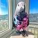 CXYYXF Bird Cloth Christmas Party Birthday Costume for Parrot Halloween Pet Birds Clothes Birds Cosplay Outfit Jacket (Pink,Sulphur-Crested Cockatoo)