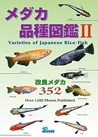 Amazon メダカ永遠 トワ メダカ品種図鑑 ノーブランド品 観賞魚 水中生物 通販