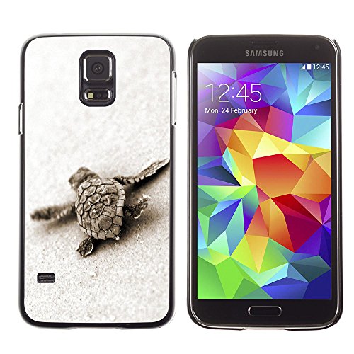 LASTONE PHONE CASE / Carcasa Funda Prima Delgada Slim Casa Carcasa Funda Case Bandera Cover Armor Shell para Samsung Galaxy S5 SM G900 / Cool Turtle Baby Cute Sand Sea Animal Marine