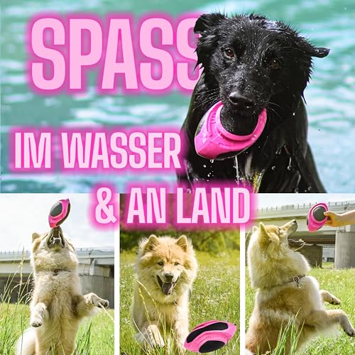 ne&no Hunde Football [Space Edition by hoher Sprungkraft I Wurfspielzeug I Jagdball I robust I Wurfball modern I für Land und Wasser I 17 cm lang