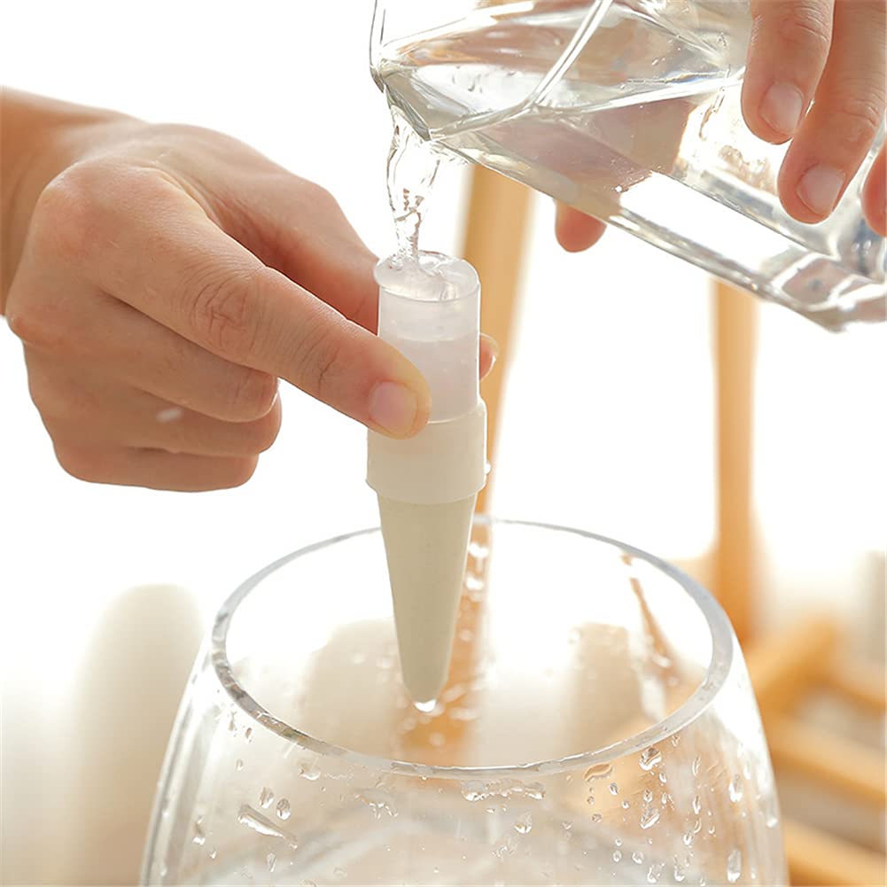 Ensemble d'arrosage automatique goutte-à-goutte 3 en 1 avec bouteille pour plantes d'intérieur