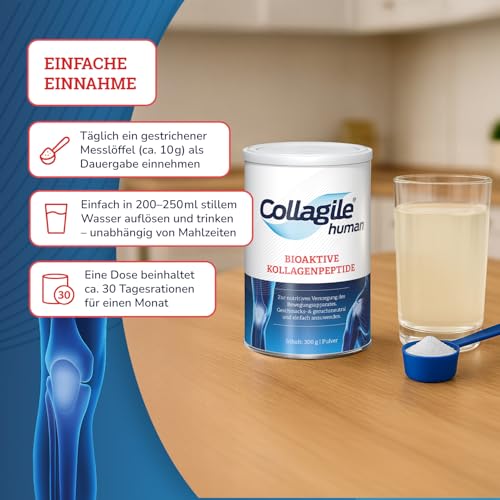 Collagile human 300g – Test: SEHR GUT – Bioaktive Kollagen Peptidfraktionen – Nutrifunktionelles Gelenkpulver – unterstützt den gesamten Bewegungsapparat