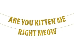 Are You Kitten Me Right Meow Banner - Gold Glitter