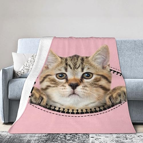 lC AjLi11j ѕz @\ C[΍ g ʋC  RۖhL y  Ódh~ | |lGʗpѕz蕨 lGʗp 100cm×125cm