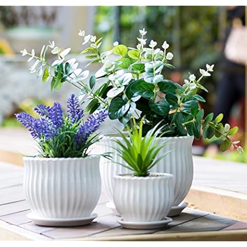 Nattol Ceramic Flower Plant Pots with Saucers, Modern Round Ceramic Succulent Planter Pots with White Stripe Texture, Small to Medium Sized, Set of 3 Cover