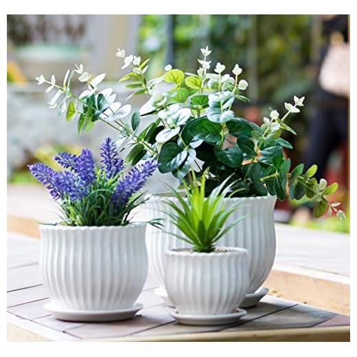 Nattol Ceramic Flower Plant Pots with Saucers, Modern Round Ceramic Succulent Planter Pots with White Stripe Texture, Small to Medium Sized, Set of 3