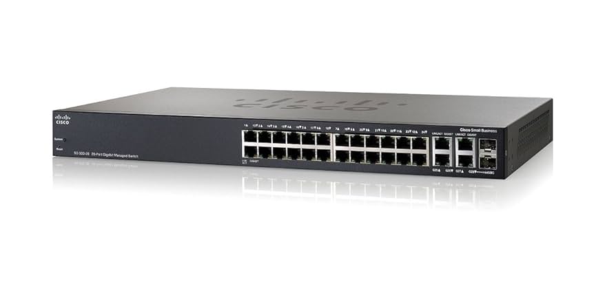 Amazon.com: Cisco Small Business SG300-28 Switch - SRW2024