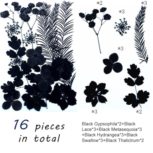 Surakey 3 Pack Flores secas prensadas negras para manualidades miniatura 4