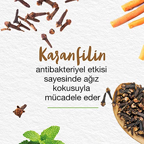 Himalaya Since 1930 Nane Ferahlığı Bitkisel Diş Macunu, Florürsüz, Parabensiz, Vejeteryan, Ferah Nefes, 75 ml (3 paketi)