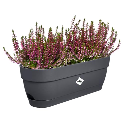 elho Vibia Campana Balkonkasten 50 mit Wasserreservoir - Blumentopf Balkon - 100% recyceltes Plastik - Ø 49.0 x H 17.0 cm - Schwarz/Anthrazit