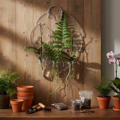 Staghorn Fern Mounting kit | Wall Hanging Board Vertical Plant Holder for Orchids Climbing Plants(Leaf) (Transparent)