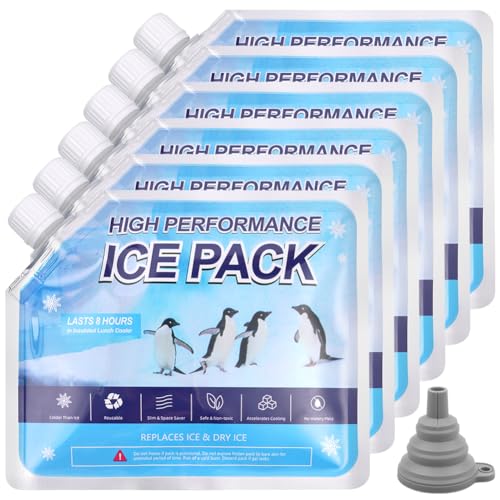 flintronic Lot de 6 Sacs de Glace Réutilisables, Blocs de Congélation, Sac de Congélation Réutilisablespour Plein Air Camping Aliments Légumes Vin