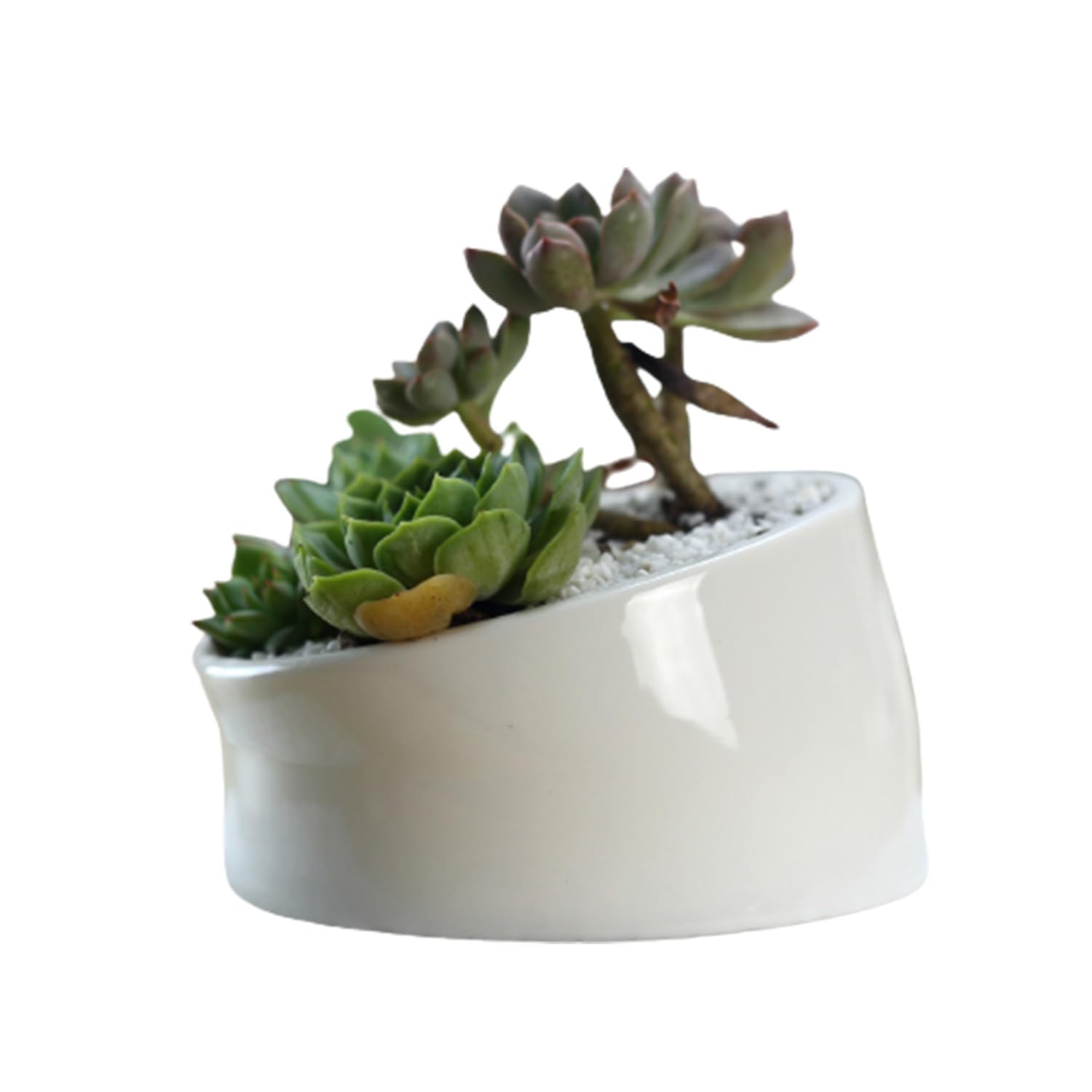 See full amazon price history chart for FURN ASPIRE Tilted Shape Ceramic Pot Flower Plant Pot for Living Room, Balcony, Home & Office Decor (White- Set of 1) (Plants Not Included) FURN ASPIRE Tilted Shape Ceramic Pot Flower Plant Pot for Living Room, Balcony, Home & Office Decor (White- Set of 1) (Plants Not Included) (B0CBPPTN88) Amazon Price History, Amazon Price Tracker