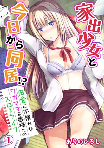 家出少女と今日から同居!?～田舎に不慣れなワガママお嬢様とのスローライフ～