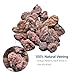 KINGRUI Natural Volcanic Lava Rock Stones for Fire Pit 4
